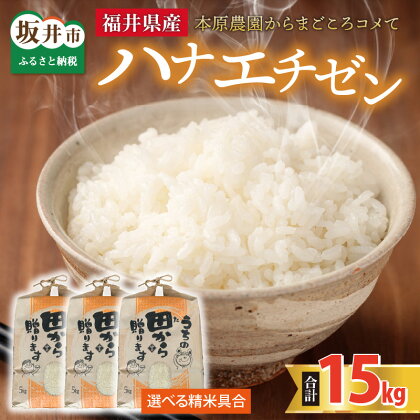 【先行予約】【令和6年産・新米】【選べる精米具合】 ハナエチゼン15kg(5kg×3袋) ～本原農園からまごころコメて～ 【2024年9月上旬以降発送予定】/ 白米 玄米 こめ