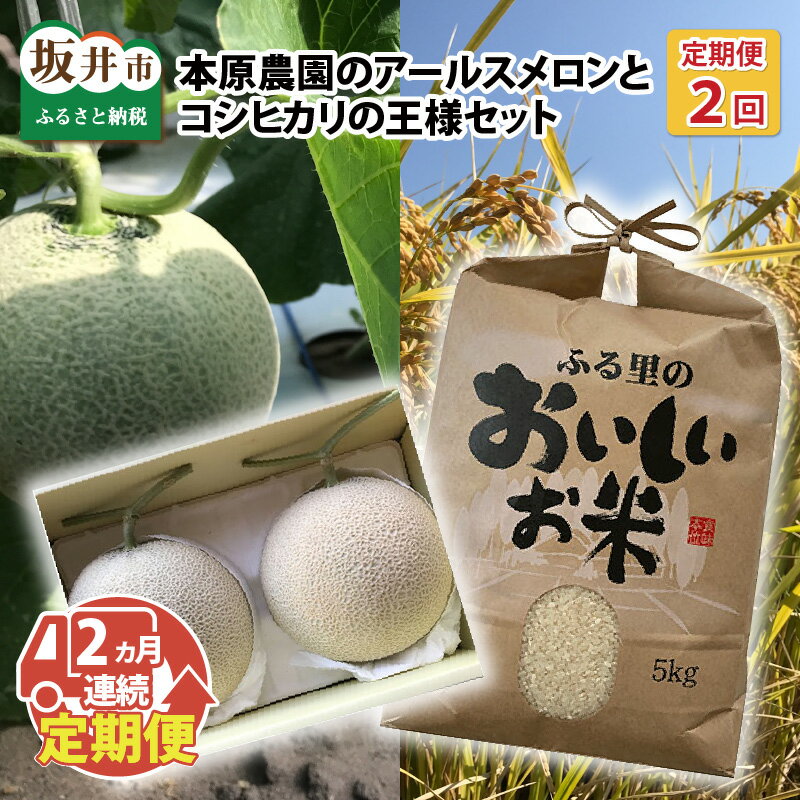 10位! 口コミ数「0件」評価「0」【先行予約】【2か月連続でお届け】本原農園のアールスメロンと 福井県産 コシヒカリの王様セット【2024年9月上旬～10月中旬発送予定】