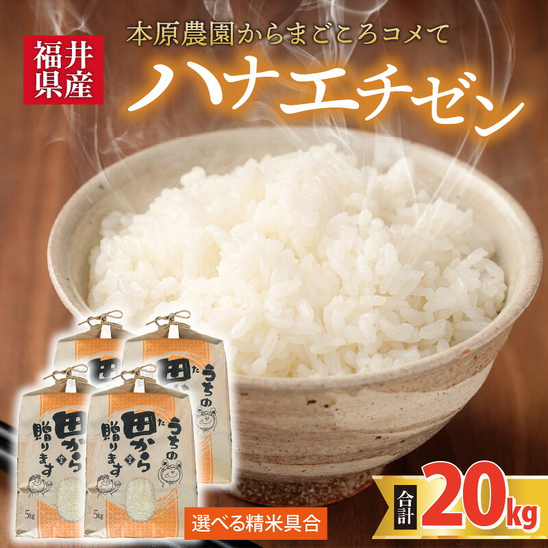 【ふるさと納税】【先行予約】【令和8年産・新米】【白米・玄米選択可】 ハナエチゼン20kg(5kg×4袋) 〜本原農園からまごころコメて〜 【2026年9月上旬以降発送予定】/ 白米 玄米 こめ f182109-sakai-10001891 福井県坂井市 サンプル画像2