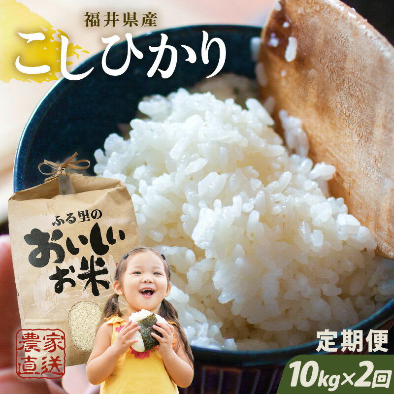 【ふるさと納税】【令和5年産】【農家直送定期便 2ヶ月コース】 本原農園のまごころコメたコシヒカリ 10kg × 2回 計20kg /玄米 白米 こしひかり こめ