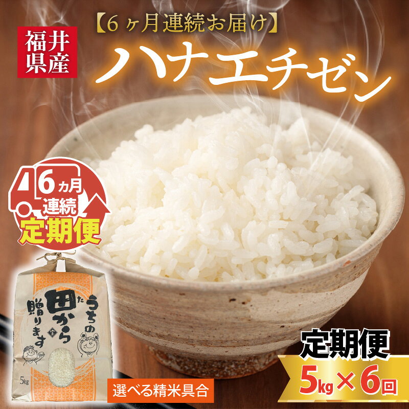 【ふるさと納税】【先行予約】【令和8年産・新米】定期便 ≪6ヶ月連続お届け≫ 【白米・玄米選択可】 ハナエチゼン5kg×6回 計30kg 〜本原農園からまごころコメて〜 【2026年9月上旬以降順次発送予定】 f182109-sakai-10001892 福井県坂井市 サンプル画像2