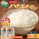 定期便 ≪3ヶ月連続お届け≫  ハナエチゼン10kg×3回 計30kg ～本原農園からまごころコメて～ / 白米 玄米 こめ