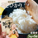 3位! 口コミ数「1件」評価「5」【令和5年産】【農家直送定期便 6ヶ月コース】本原農園のまごころコメた 福井県産 コシヒカリ 5kg × 6回 計30kg