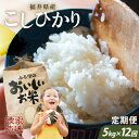 7位! 口コミ数「4件」評価「5」【令和5年産】【農家直送定期便 12ヶ月コース】 本原農園のまごころコメた 福井県産 コシヒカリ 5kg × 12回 計60kg /玄米 白･･･ 