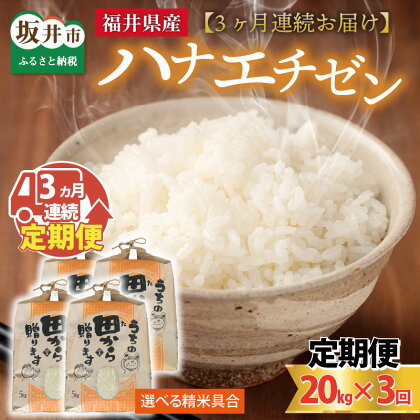 【先行予約】【令和6年産・新米】定期便 ≪3ヶ月連続お届け≫ 【選べる精米具合】 ハナエチゼン20kg×3回 計60kg ～本原農園からまごころコメて～ 【2024年9月上旬以降発送予定】/ 白米 玄米 こめ