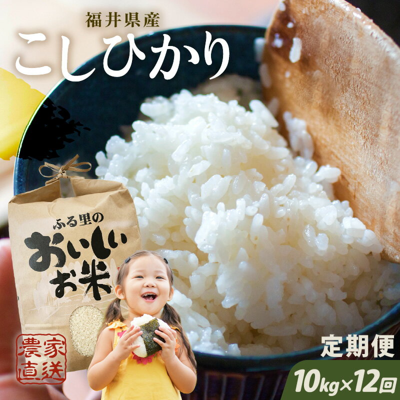 【ふるさと納税】【令和7年産】【農家直送定期便 12ヶ月コース】 本原農園のまごころコメた 福井県産 コシヒカリ 10kg × 12回 計120kg