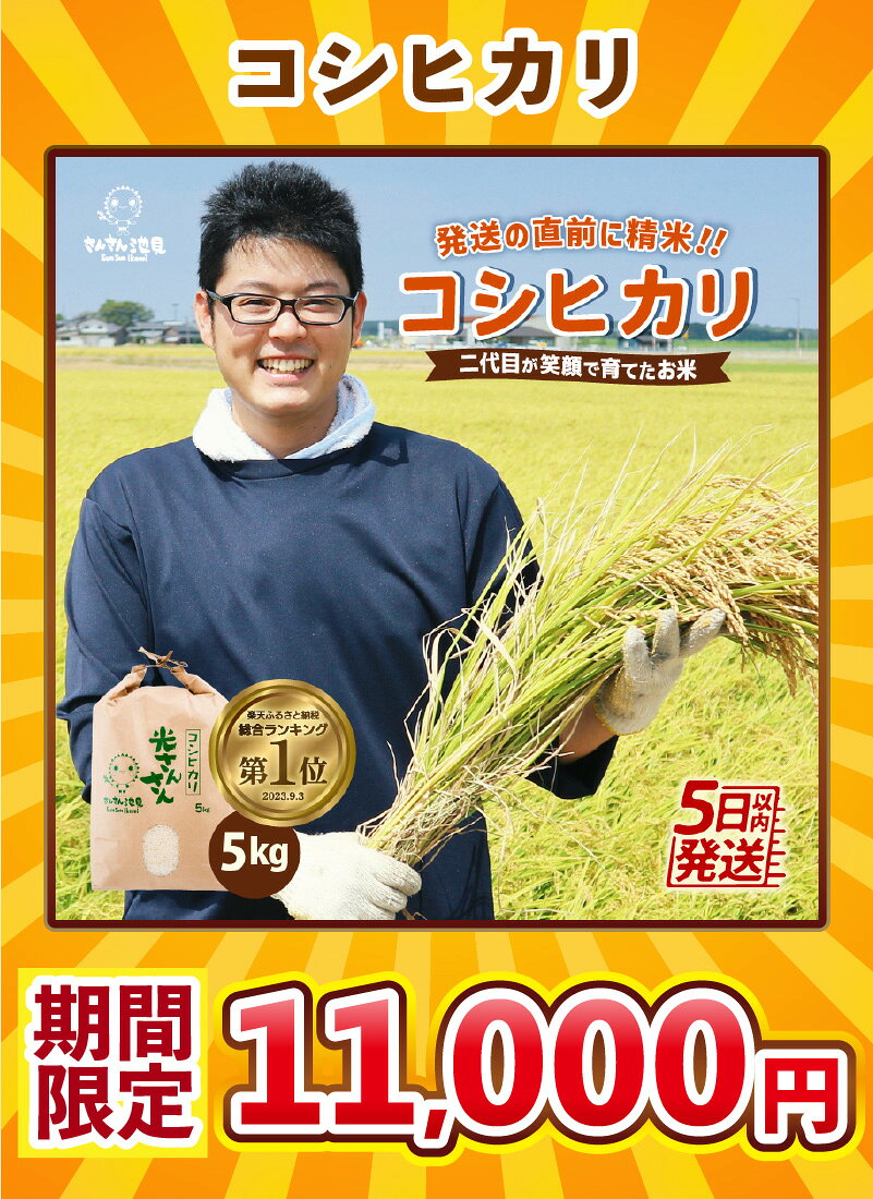 【ふるさと納税】楽天限定 令和7年産の寄附額見直しました！コシヒカリ 5kg/10kg 選べる産年【令和8年産は2026年9月中旬～10月上旬より順次発送】【選べる精米方法・配送回数】 米 お米 定期便 5分づき 7分づき 無洗米 玄米 白米 6ヶ月 12ヶ月 5キロ 10キロ 産地直送