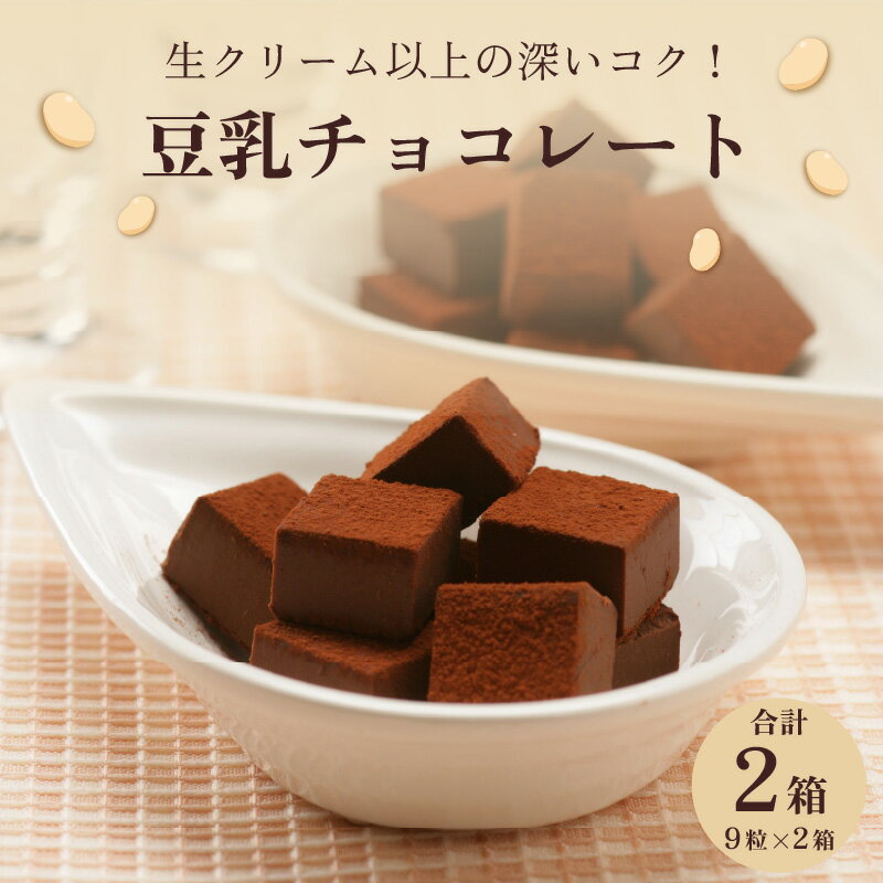 【ふるさと納税】生クリーム以上の深いコク！豆乳チョコレート 9粒×2箱 / 永平寺町 ソイ ギフト プレゼント 贈答 バレンタイン ホワイトデー