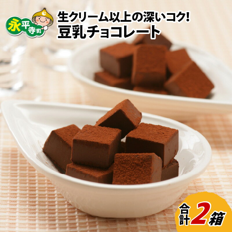 生クリーム以上の深いコク！豆乳チョコレート 9粒×2箱 / 永平寺町 ソイ ギフト プレゼント 贈答 バレンタイン ホワイトデー