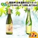 8位! 口コミ数「0件」評価「0」酒好きも思わず唸る、田辺酒造　日本酒飲み比べセット（720ml×2本）／越前岬 純米大吟醸 「さかほまれ」 ＆　越前岬 槽搾り純米 永平寺町･･･ 