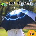 【ふるさと納税】永平寺 藍染 日傘「さざ波」/ 日傘 コットン ファッション ギフト 贈答 永平寺町
