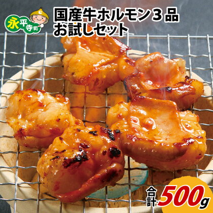 国産牛ホルモン3品 お試しセット 約500g / 永平寺町 詰め合わせ 焼肉 バーベキュー BBQ 鍋 もつ鍋 小分け