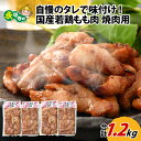 【ふるさと納税】国産 味付け 真空 冷凍 鶏肉 300g × 4袋( 計 1.2kg ) l 簡単 焼肉 ジューシー 若鶏 鶏もも肉 BBQ バーベキュー 鍋 小分け お取り寄せ お試し 永平寺町 送料無料
