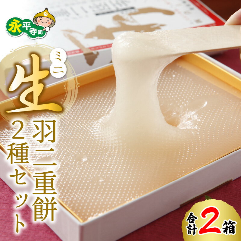 【ふるさと納税】ミニ 生 羽二重餅 2種 セット（しろ・ くるみ入り） l おもち お餅 菓子 お取り寄せ ご当地 和菓子 スイーツ ギフト 贈答 土産 食べ比べ 福井 銘菓 永平寺町 送料無料 バレンタイン ホワイトデーのサムネイル