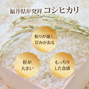 【ふるさと納税】【3ヶ月連続お届け】【白米】 令和5年度産 永平寺町産 コシヒカリ 15kg×3ヶ月（計45kg） / こめ ごはん 精米 定期便 3