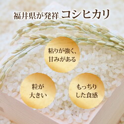 【ふるさと納税】【先行予約】【新米】【白米】 令和5年度産 永平寺町産 農薬不使用・化学肥料不使用 特別栽培米コシヒカリ 20kg 【2023年10月下旬以降順次発送開始予定】/ 無農薬 こめ ごはん 精米･･･ 画像2