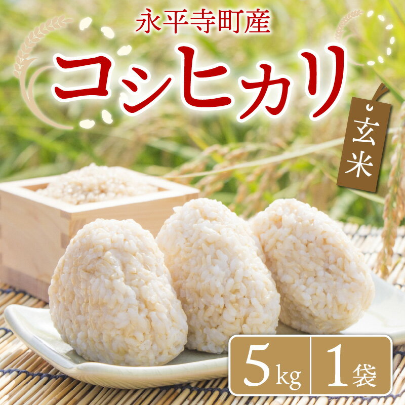 【ふるさと納税】【玄米】 令和5年度産 永平寺町産 コシヒカリ 5kg / ご飯 ごはん こめ お試し