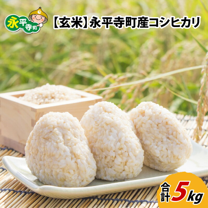 [玄米] 令和5年度産 永平寺町産 コシヒカリ 5kg / ご飯 ごはん こめ お試し