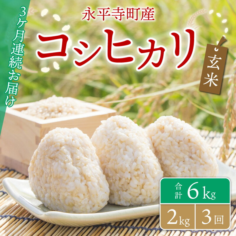 【ふるさと納税】【3ヶ月連続お届け】【玄米】 令和5年度産 永平寺町産 コシヒカリ 2kg×3ヶ月（計6kg） / ご飯 ごはん こめ 定期便