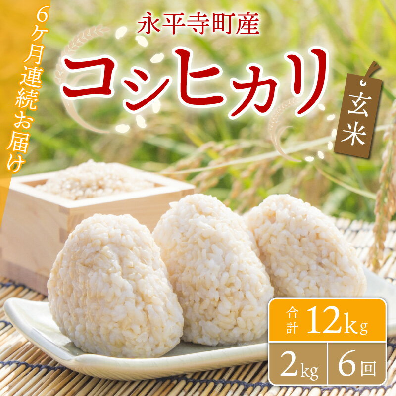 【ふるさと納税】【6ヶ月連続お届け】【玄米】 令和5年度産 永平寺町産 コシヒカリ 2kg×6ヶ月（計12kg） / ご飯 ごはん こめ 定期便