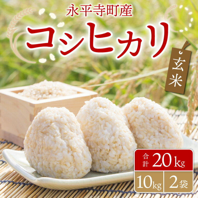 【ふるさと納税】【玄米】 令和5年度産 永平寺町産 コシヒカリ 20kg / ご飯 ごはん こめ