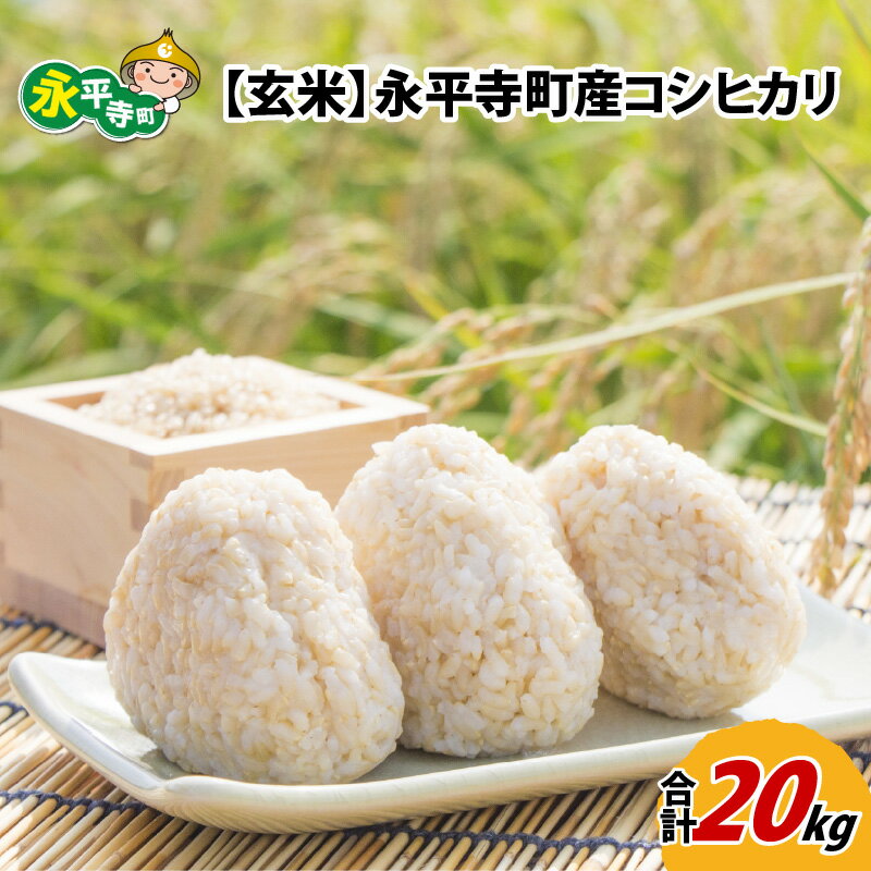 【ふるさと納税】【玄米】 令和5年度産 永平寺町産 コシヒカリ 20kg / ご飯 ごはん こめ