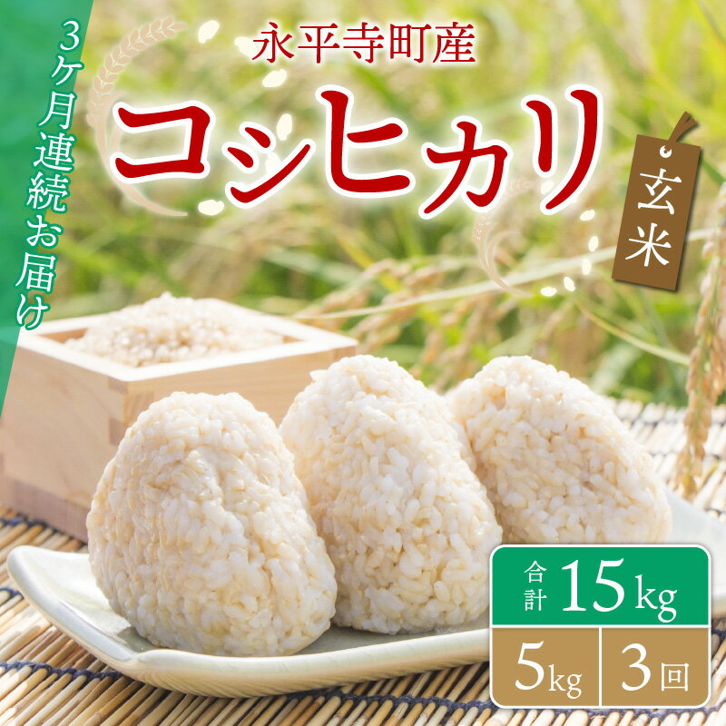 【ふるさと納税】【3ヶ月連続お届け】【玄米】 令和5年度産 永平寺町産 コシヒカリ 5kg×3ヶ月（計15kg） / ご飯 ごはん こめ 定期便