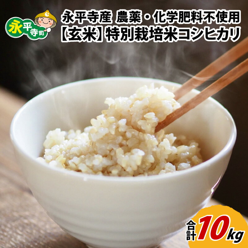 25位! 口コミ数「0件」評価「0」【玄米】 令和5年度産 永平寺町産 農薬不使用・化学肥料不使用 特別栽培米 コシヒカリ 10kg / 無農薬 ご飯 ごはん こめ