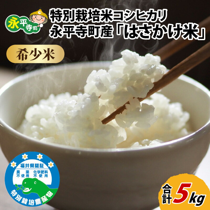 【ふるさと納税】【数量限定】【希少米】 永平寺町産 特別栽培米コシヒカリ ＜はさかけ米＞ 5kg×1袋【2023年1月中旬以降順次発送予定】 / ご飯 ごはん こめ お試しのサムネイル