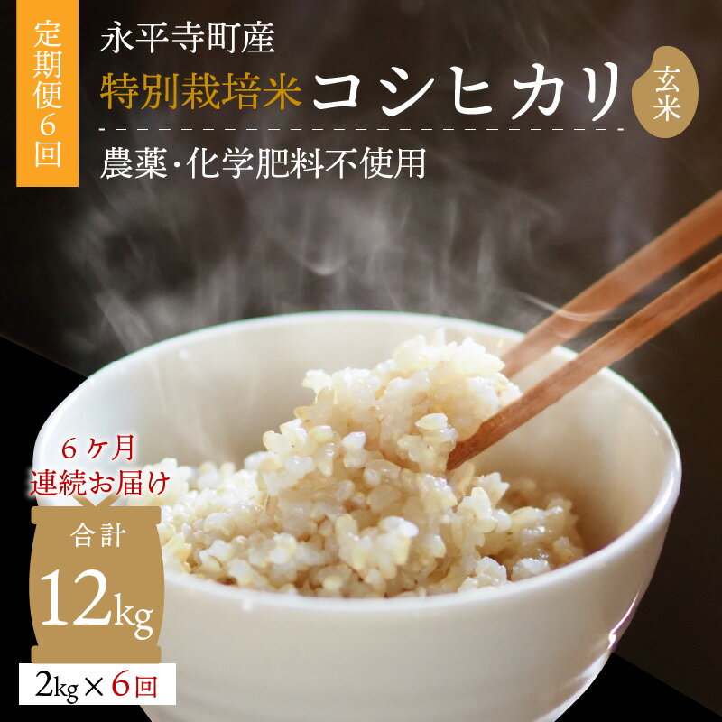 【ふるさと納税】【6ヶ月連続お届け】【玄米】 令和5年度産 永平寺町産 農薬不使用・化学肥料不使用 特別栽培米 コシヒカリ 2kg×6ヶ月（計12kg）/ 無農薬 ご飯 ごはん こめ 定期便