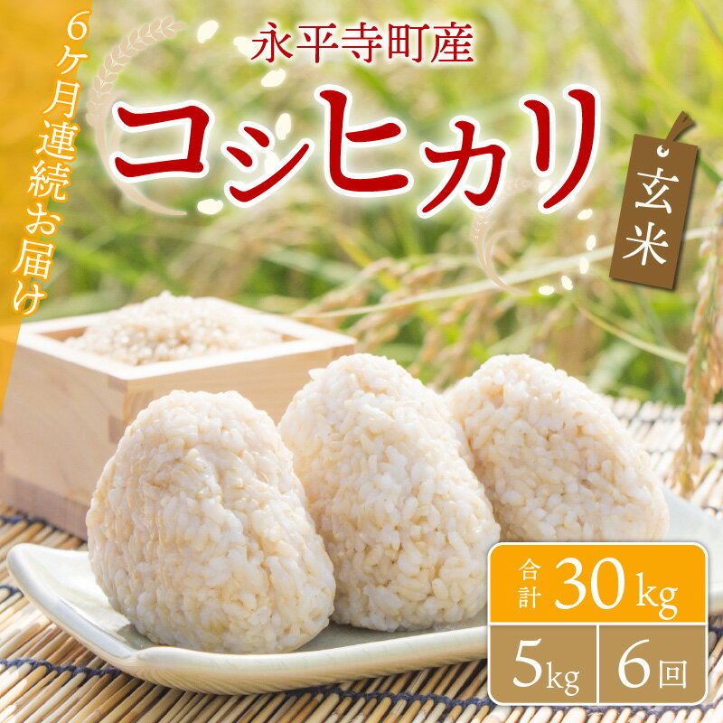 【ふるさと納税】【6ヶ月連続お届け】【玄米】 令和5年度産 永平寺町産 コシヒカリ 5kg×6ヶ月（計30kg） / ご飯 ごはん こめ 定期便