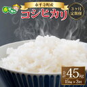 【ふるさと納税】【3ヶ月連続お届け】【白米】 令和5年度産 永平寺町産 コシヒカリ 15kg×3ヶ月（計45kg） / こめ ごはん 精米 定期便