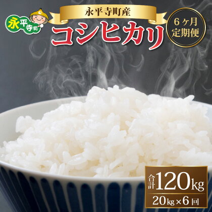 【6ヶ月連続お届け】【白米】 令和5年度産 永平寺町産 コシヒカリ 20kg×6ヶ月（計120kg） / こめ ごはん 精米 定期便