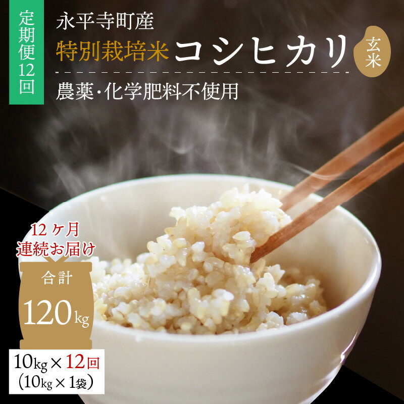 【ふるさと納税】【12ヶ月連続お届け】【玄米】 令和5年度産 永平寺町産 農薬不使用・化学肥料不使用 特別栽培米 コシヒカリ 10kg×12ヶ月（計120kg）/ 無農薬 ご飯 ごはん こめ 定期便