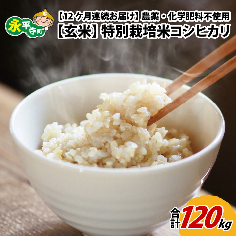 10位! 口コミ数「0件」評価「0」【12ヶ月連続お届け】【玄米】 令和5年度産 永平寺町産 農薬不使用・化学肥料不使用 特別栽培米 コシヒカリ 10kg×12ヶ月（計120k･･･ 