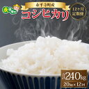 22位! 口コミ数「0件」評価「0」【12ヶ月連続お届け】【白米】 令和5年度産 永平寺町産 コシヒカリ 20kg×12ヶ月（計240kg） / こめ ごはん 精米 定期便