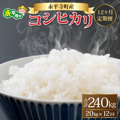 【12ヶ月連続お届け】【白米】 令和5年度産 永平寺町産 コシヒカリ 20kg×12ヶ月（計240kg） / こめ ごはん 精米 定期便