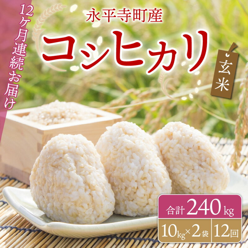 【ふるさと納税】【12ヶ月連続お届け】【玄米】 令和5年度産 永平寺町産 コシヒカリ 20kg×12ヶ月（計240kg） / ご飯 ごはん こめ 定期便