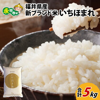 令和5年度産 福井県産新ブランド米 いちほまれ 5kg / 白米 精米 ご飯 ごはん お試し