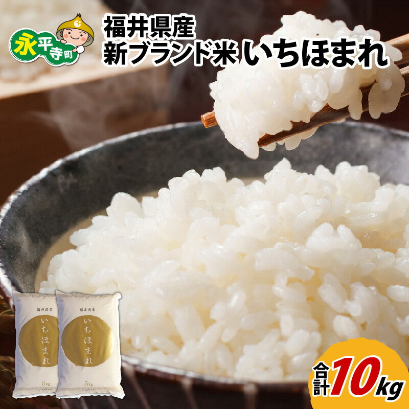 令和5年度産 福井県産新ブランド米 いちほまれ 10kg(5kg×2袋) / 白米 精米 ご飯 ごはん