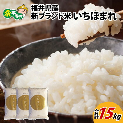 令和5年度産 福井県産新ブランド米 いちほまれ 15kg（5kg×3袋） / 白米 精米 ご飯 ごはん