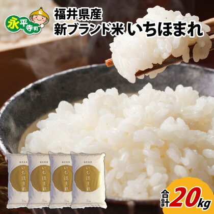 令和5年度産 福井県産新ブランド米 いちほまれ 20kg（5kg×4袋） / 白米 精米 ご飯 ごはん