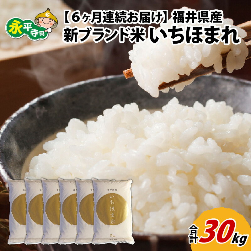 人気ランキング第39位「福井県永平寺町」口コミ数「0件」評価「0」【6ヶ月連続お届け】令和5年度産 福井県産新ブランド米 いちほまれ 5kg×6ヶ月（計30kg） / 白米 精米 ご飯 ごはん 定期便