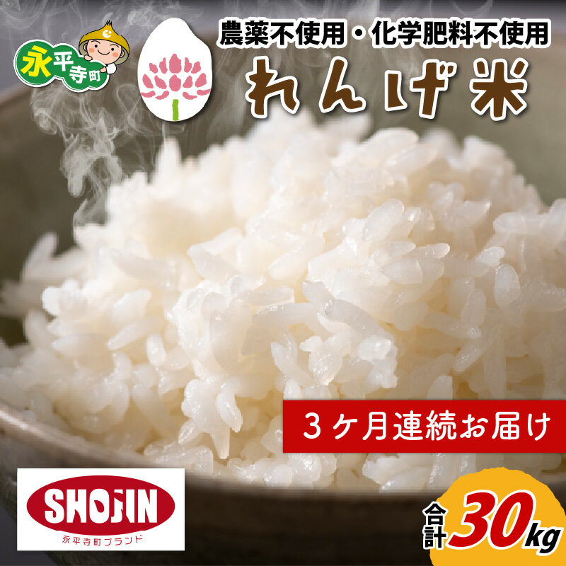 6位! 口コミ数「0件」評価「0」【3ヶ月連続お届け】令和5年産 農薬不使用・化学肥料不使用 永平寺町産 れんげ米 10kg×3ヶ月（計30kg）/ 無農薬 白米 精米 ご飯･･･ 