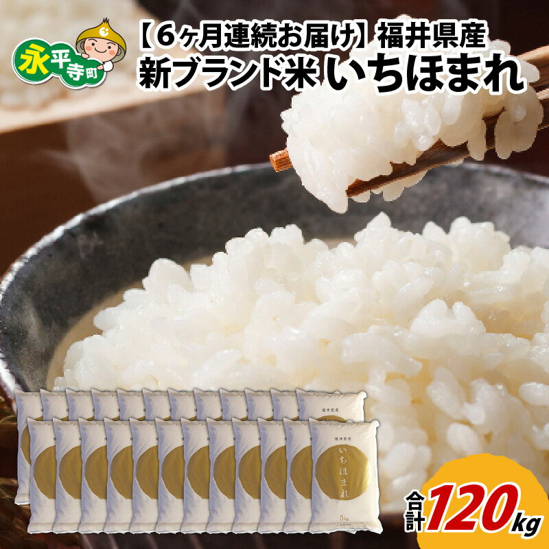 29位! 口コミ数「0件」評価「0」【6ヶ月連続お届け】令和5年度産 福井県産新ブランド米 いちほまれ 20kg（5kg×4袋）×6ヶ月（計120kg） / 白米 精米 ご飯 ･･･ 