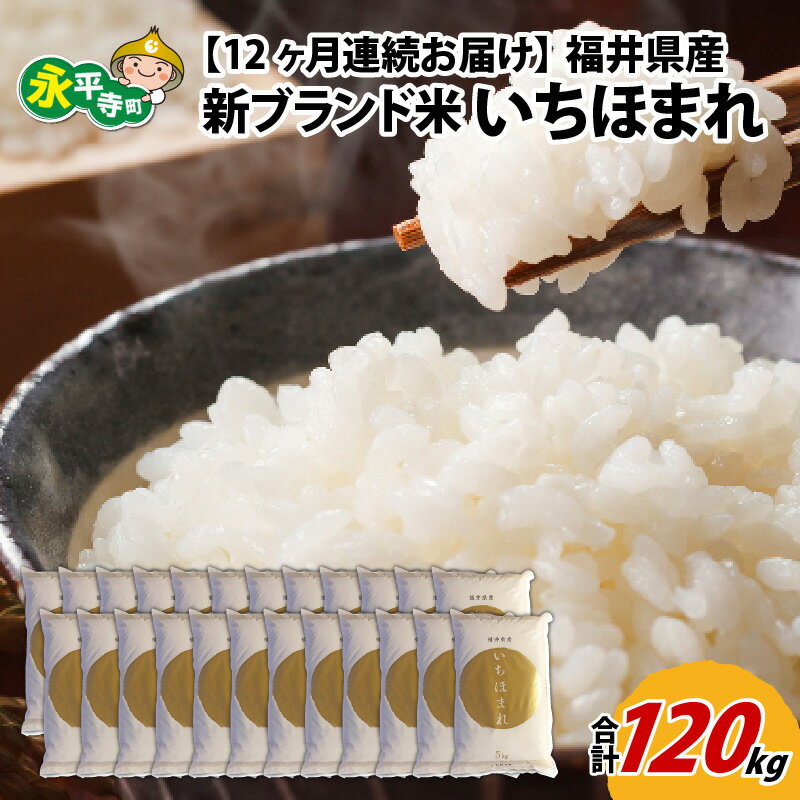 人気ランキング第43位「福井県永平寺町」口コミ数「0件」評価「0」【12ヶ月連続お届け】令和5年度産 福井県産新ブランド米 いちほまれ 10kg（5kg×2袋）×12ヶ月（計120kg） / 白米 精米 ご飯 ごはん 定期便