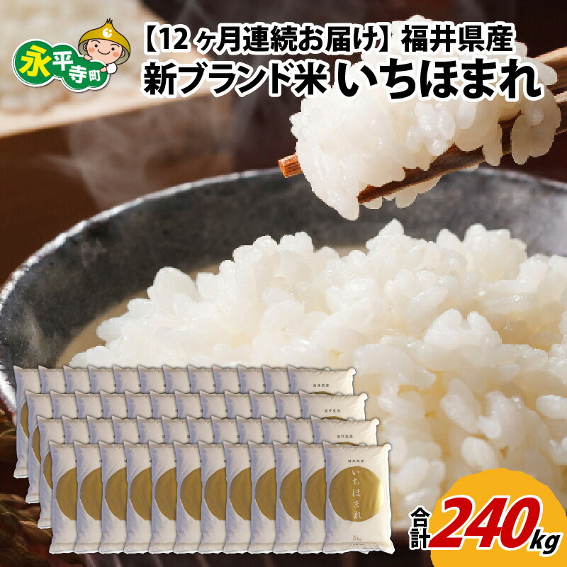 令和5年度産 福井県産新ブランド米 いちほまれ 20kg（5kg×4袋）×12ヶ月（計240kg） / 白米 精米 ご飯 ごはん 定期便