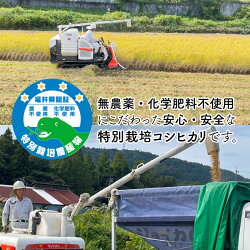 【ふるさと納税】無農薬・化学肥料不使用 永平寺町寺本の米 特別栽培コシヒカリ 玄米 5kg / こめ ごはん 画像2