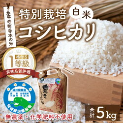 【ふるさと納税】無農薬・化学肥料不使用 永平寺町寺本の米 特別栽培コシヒカリ 白米 5kg / こめ ごはん 精米 画像1