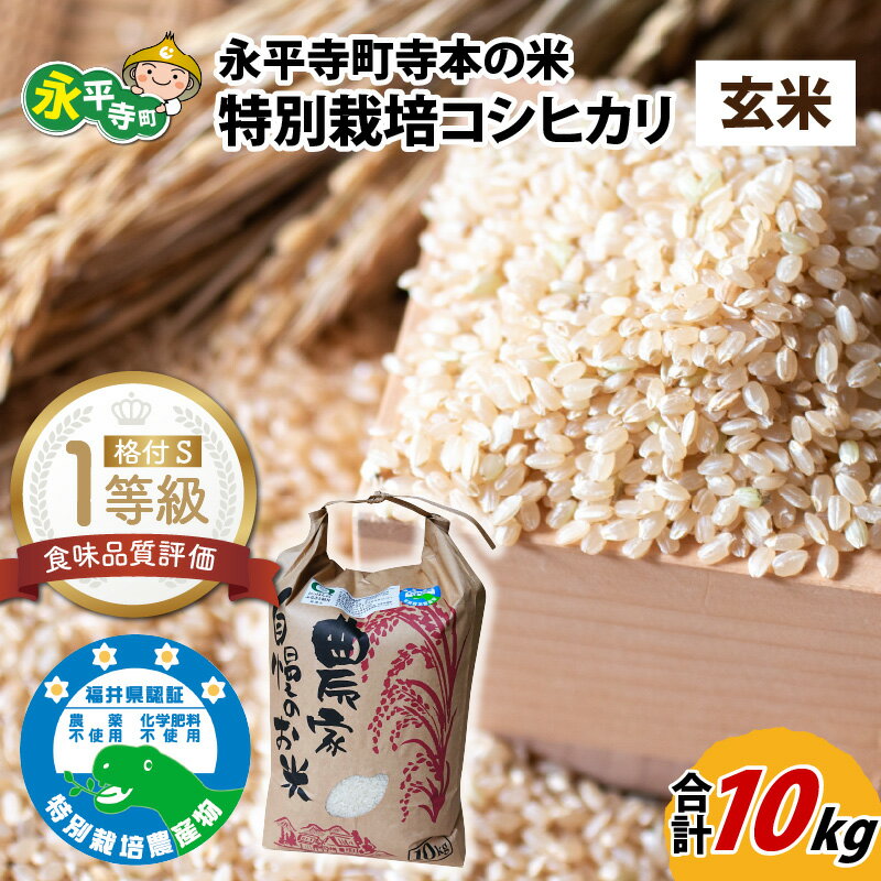 令和5年産 無農薬・化学肥料不使用 永平寺町寺本の米 特別栽培コシヒカリ 玄米 10kg / こめ ごはん